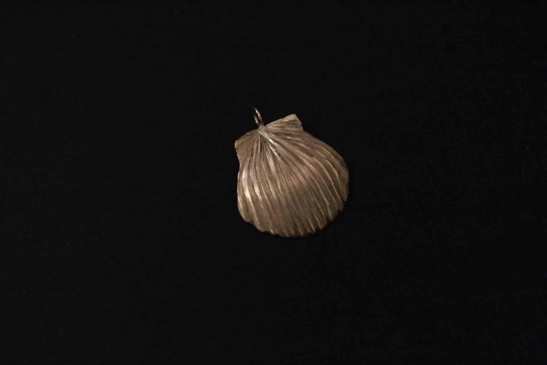 Shell In 18K